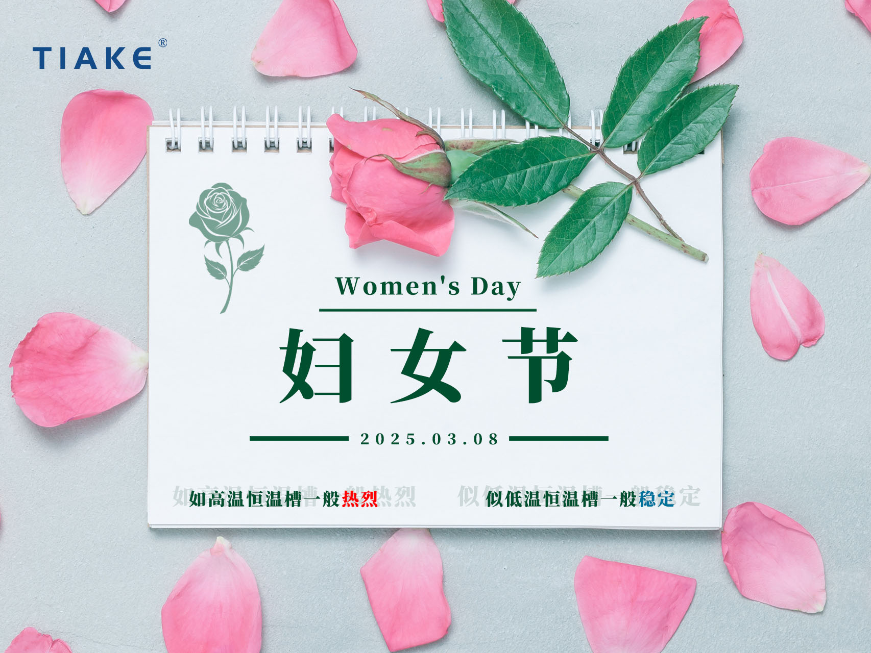 無需借光而行，我亦是星辰?！暇┨炜谱Ｋ信裕窆?jié)，做自己的大女主！